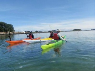  维埃纳州沙维尼的桨学校 